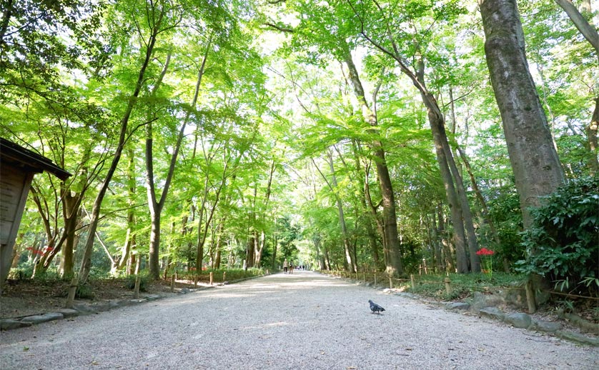 下鴨神社